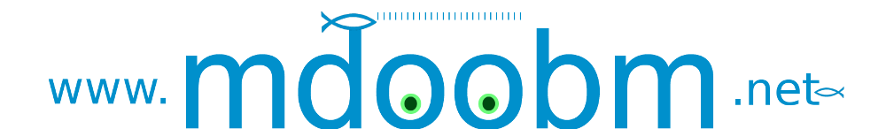 logo bleu top 1000 v2