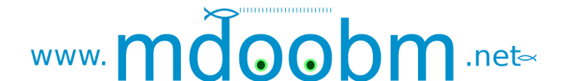 logo bleu top 800 v2